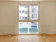 Wohnung mit 2 Schlafzimmer Wien 1160 DS100169207