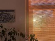 Wohnung mit 2 Schlafzimmer Wien 1160 DS100225042