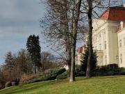 Wohnung mit 2 Schlafzimmer Wien 1160 DS98335024