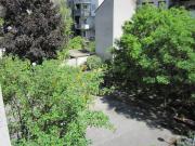 Wohnung mit 2 Schlafzimmer Wien 1170 DS97054860