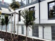 Wohnung mit 2 Schlafzimmer Wien 1170 DS97947764