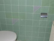 Wohnung mit 2 Schlafzimmer Wien 1190 DS99933449