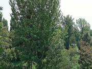 Wohnung mit 2 Schlafzimmer Wien 1210 ES97331218