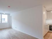 Wohnung mit 3 Schlafzimmer Wien 1060 DS97182471