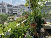 Wohnung mit 3 Schlafzimmer Wien 1210 DS99749955