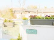 Wohnung mit 4 Schlafzimmer Niederösterreich 2331 DS97013474