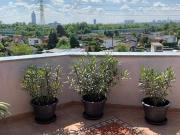 Wohnung mit 4 Schlafzimmer Wien 1210 DS96679475