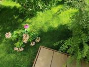 Wohnung mit kleinem Garten Untermiete