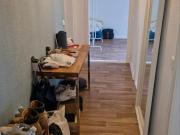 Wohnung Unter Zwischenmiete