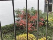 Wohnung zu vermieten, Grand' Rue Montreux, Schweiz