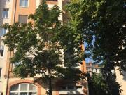 Wohnung zum Kaufen in Mainz 287.000,00 EUR 55.39 m²
