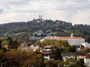 All Inklusive Traumwohnung mit Pöstlingberg Blick