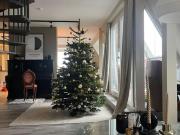 Wohnung zur Untermiete 6 Monate Charlottenburg