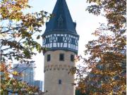 Wohnung zur Untermiete in Frankfurt Bockenheim