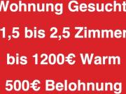 Wohnungsgesuch: 1,5 2,5 Zimmer 1.200 € warm in HH 500€...