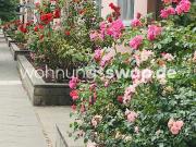 Wohnungsswap 2 Zimmer, 72 m² Friedrich Junge Straße,...