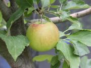 Wonderful, quiet and stylish home with garden right in...