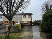 Wood Avens, Clondalkin, Dublin 22