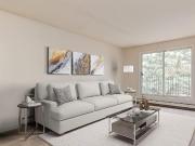 Woodlily Court