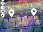 WTS 5 Lot Tanah Banglo Jalan Tegak 1, Mukim Kuala Pahang