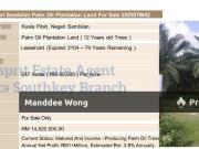 WTS Palm Oil Plantation Kuala Pilah, Negeri Sembilan