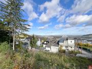 Rarität am Josefsteig