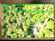 #WUNDERSCHÖN 3 HÄUSER AUF ÜBER 5.000QM²LAND, PREIS...