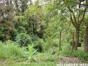 Wunderschön gelegenes Freizeitgrundstück mit Blick auf...