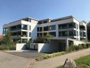 Wunderschöne 2.5 Zimmer Wohnung an idealer Lage zu vermieten