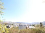 Wunderschöne 2 Raum Wohnung mit Blick über Aue
