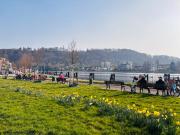 Wunderschöne renovierte 2,5 Zimmer Wohnung am Kettwiger...