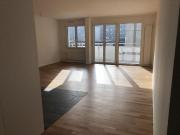 Wunderschöne Stadtwohnung nahe Letzigrund