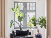 Wunderschöne Wohnung Belle Etage in Villa am Schlachtensee