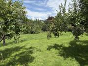 Wunderschöner Grund im Zaubertal