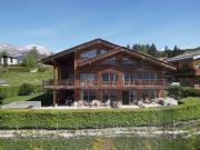 Wunderschönes Chalet aus altem Holz mit Panoramablick