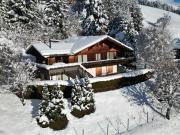 Wunderschönes Chalet mit Blick auf das Dorf