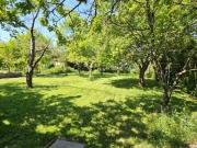 Wunderschönes Grundstück 1.064m2 am Wiener Stadtrand...