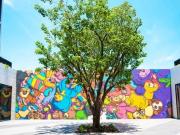 WYND 27 & WYND 28 W28 Studio 508 SF