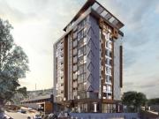 XAVIA BY NIVEL DIEZ / FLAMINGOS