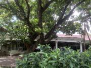 Xavierville Avenue Commercial and Residential Property...