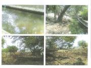 Terreno en venta en Real del Puente, Xochitepec, Morelos