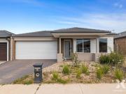 Xynergy Realty