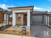 Xynergy Realty