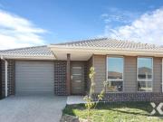 Xynergy Realty