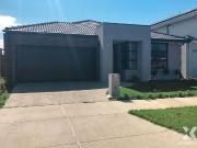 Xynergy Realty