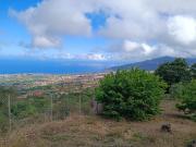 Ya puede disfrutar de su propio vergel en La Orotava