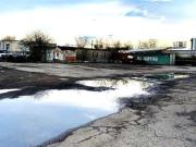 Yard 200 Arvin Avenue