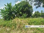 Yayah Awal @ JB Town 20,000 sqft Agricultural Land For