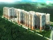 Yelahanka 3 BHK Apartment For Sale Bangalore