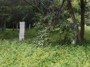 Yelahanka New Town Residential Plot For Sale Bengaluru